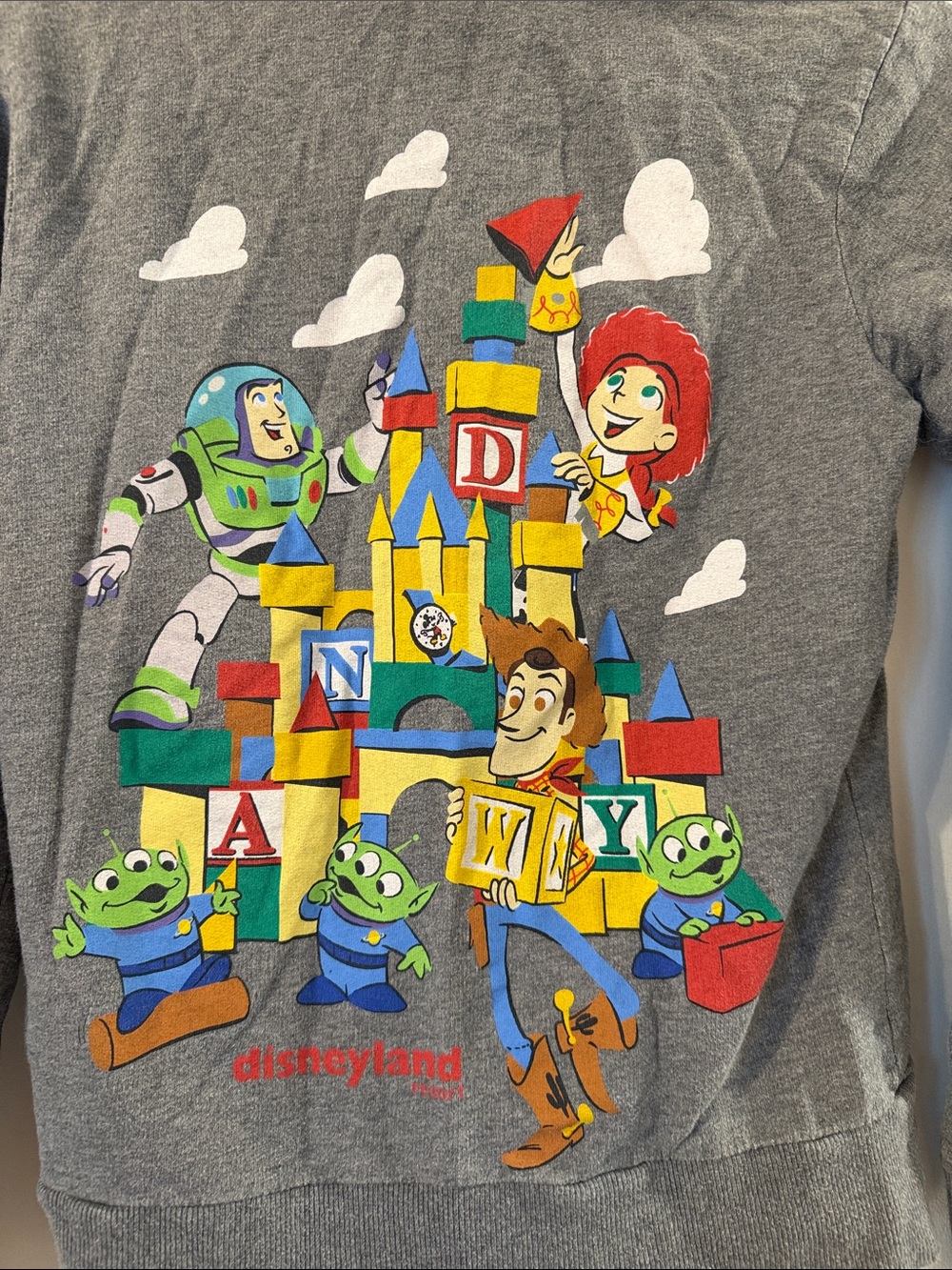 Rare Disney Parks Exclusive Toy Story Zip Up Hoodie